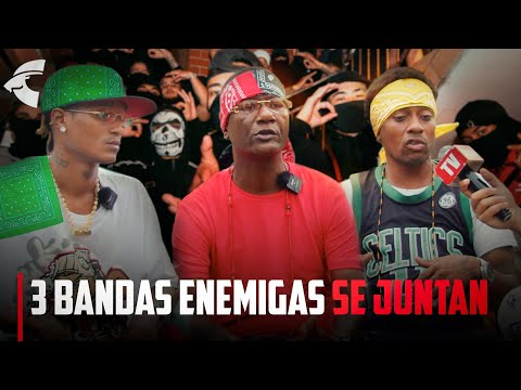 3 BANDAS ENEMIGAS SE JUNTAN EN ENTREVISTA / trinitario, sangre y king
