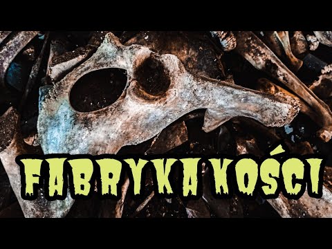 Fabryka Pełna Kości -Urbex