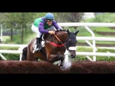 Geny Pronostics des reunions et quintés du jour