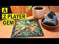 Bagh Chal The EASIEST 2 Player Game I Ve Ever Played