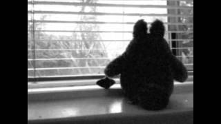 Chronicles of a Sad Totoro Pt. 1