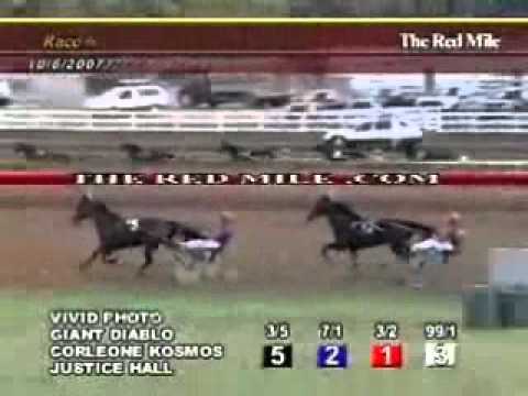Allerage Farms Open Trot 2007 -Giant Diablo
