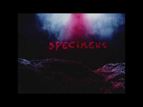 Roy Spence: Specimens