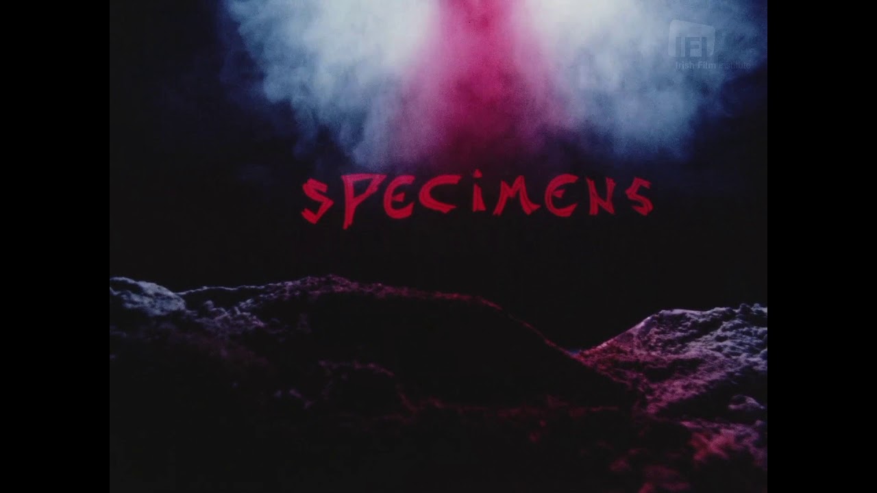 Roy Spence: Specimens
