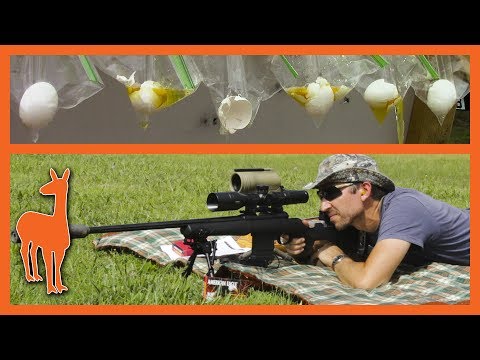 Savage Model 10 GRS 6.5 Creedmoor vs the 300-Yard Egg Challenge!
