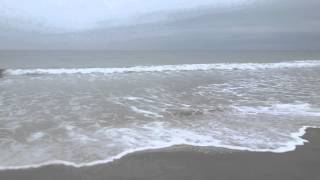 Only Love ~ k.d. lang