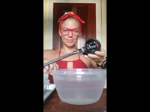 Carol How To: Clean Your Regulator's Second Stage