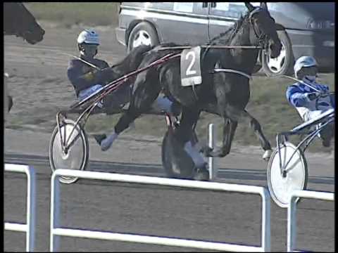 Trotto 02/11/2014 - 3° corsa