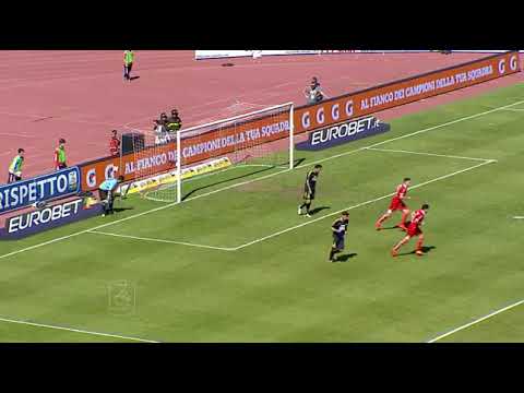 Anno 2013/14 Bari - Juve Stabia 3 - 0