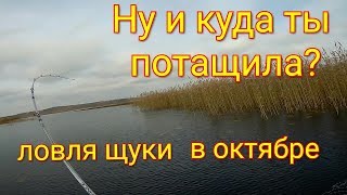 Когда ловить щуку окуня в октябре