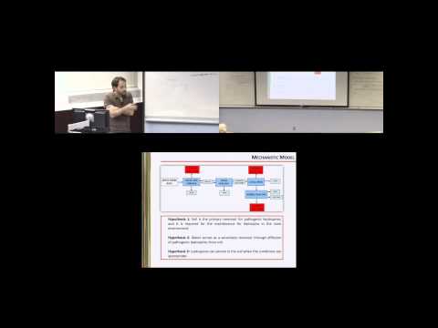 Dynamics of Leptospira sp. in the environment