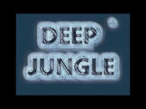 Roni Size & DJ Krust - Formulate - 1994 Old Rave/Jungle