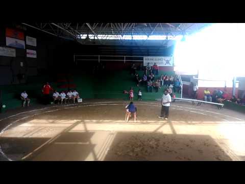 Lucha del tedote infantil