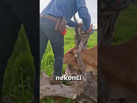 TOHLE BY JSTE NEČEKALI...