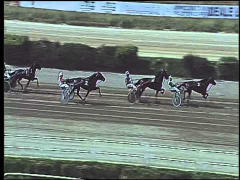 Trotto 14/06/2015 - 2° prova di qualifica