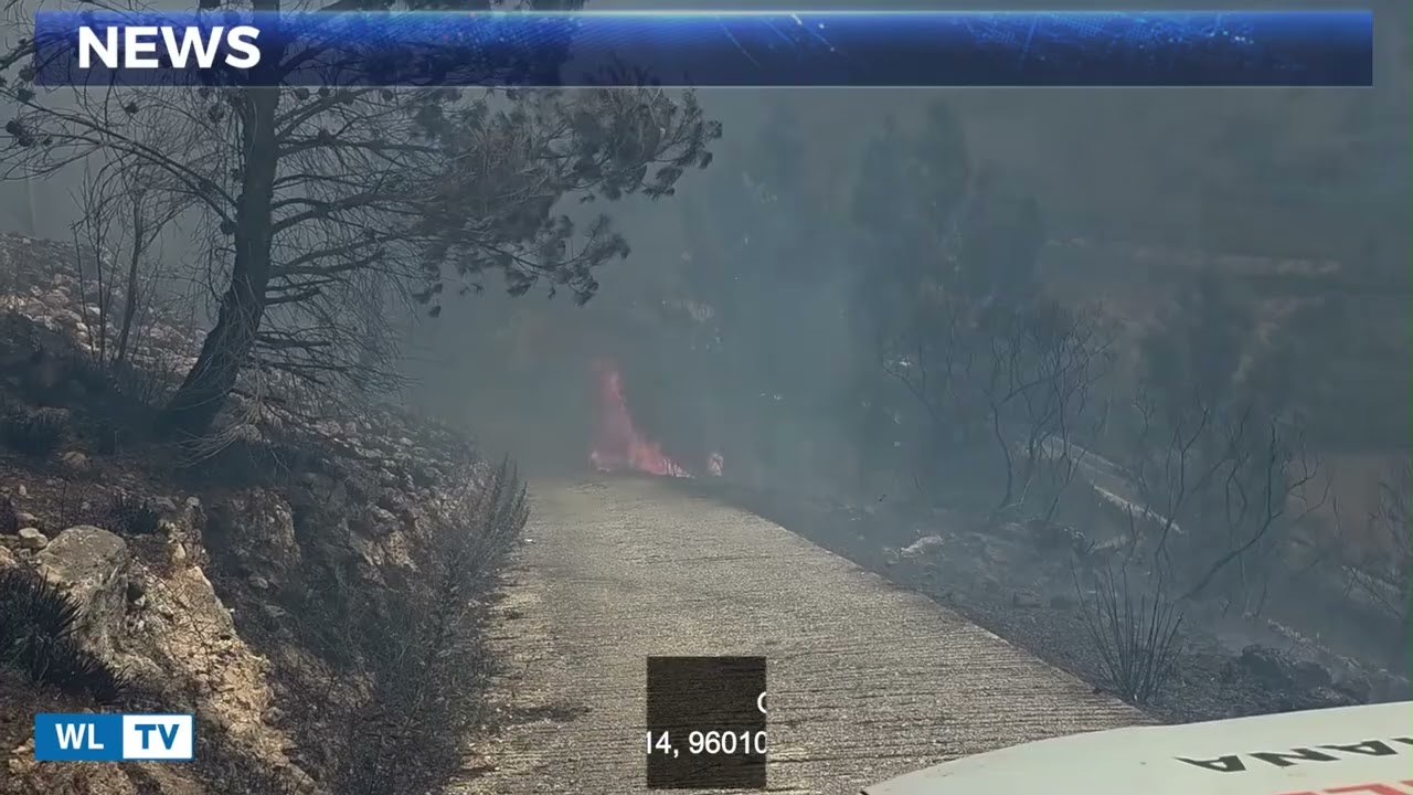Incendi, Sicilia prima in Italia: nel 2026 bruciati oltre 71 mila ettari