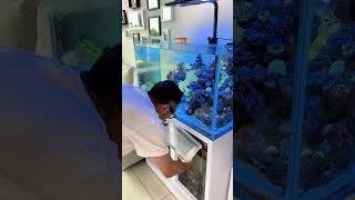 換水囉#海水缸