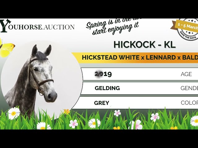 Hickock showvideo