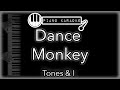 Dance Monkey - Tones & I - Piano Karaoke Instrumental