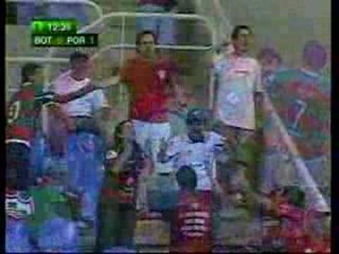 Botafogo 0x1 Portuguesa - Gol do Edno