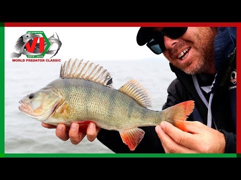 Was für ein START! | World Predator Classic 2019