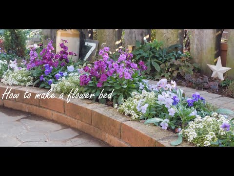 園芸 ホワイトヘザー、ツリーヘザー