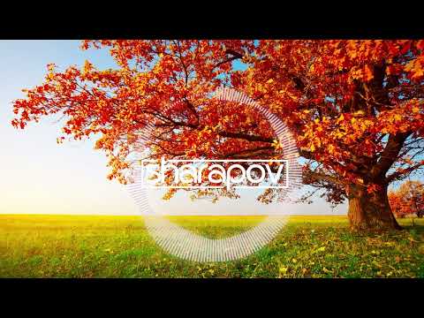 Sharapov - Keep On Rising (Elegant Ape Remix)