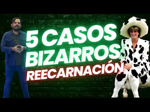 CINCO historias BIZARRAS de REENCANACIÓN
