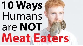 10 Ways Humans are NOT natural Meat Eaters