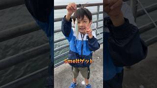 日曜日の朝釣り🎣in San Diego #サンディエゴ #アメリカ在住 #pierfishing