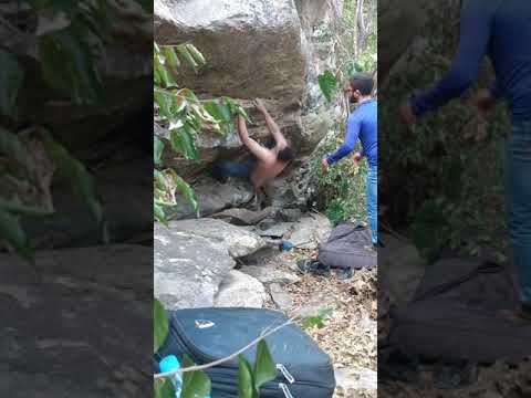 Espinosauro (V5) DoisRiachos-AL