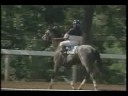 With Approval Prince of Wales 1989 -  Triple Crown Winner