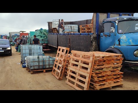 Feira da ração de Capoeiras-PE 30/04/2026