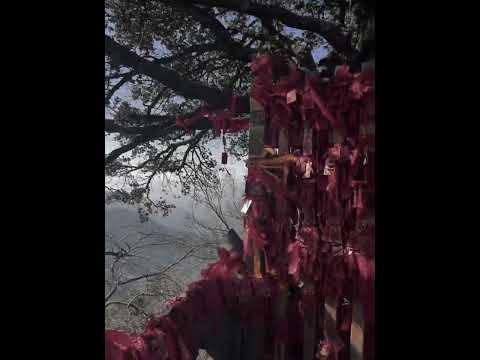 &ldquo;棄我去者 昨日之日不可留&rdquo;#古装 #传统文化 #中国风 #人生感悟 #情感#正缘