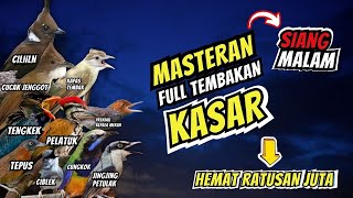 Download lagu Masteran Full Tembakan Kasar Siang dan Malam - Hemat Ratusan Juta mp3 Download lagu Masteran Full Tembakan Kasar Siang dan Malam - Hemat Ratusan Juta mp3