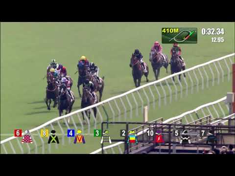 1/10/2021 (69) Nervous Witness- Z Purton (Unchallenged!)