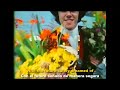 Donovan - Oh Gosh  | Lyrics - Sub (Inglés - Español) Remastered AI