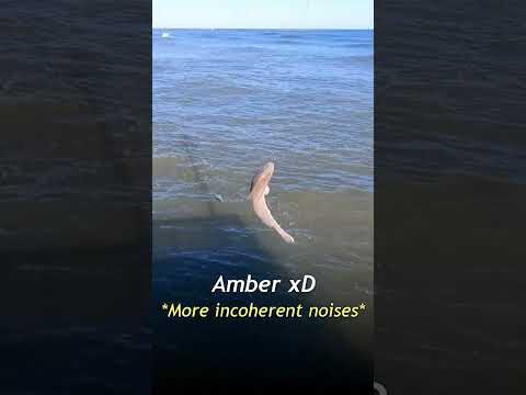 THE KINGFISH/ WHITING :D! PT. 5 #shorts #fishing