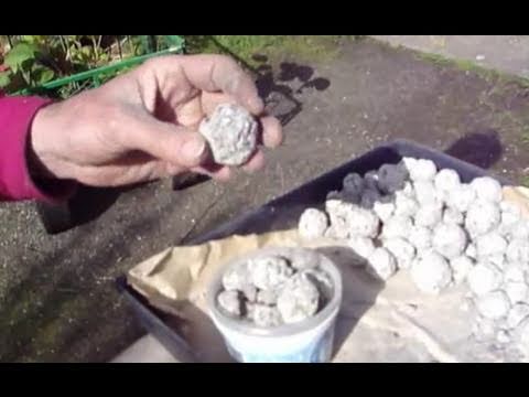 fukuoka style seed balls for no till farming - Inspiration Farm