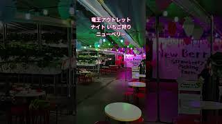 夜でも いちご狩り!竜王アウトレットニューベリー