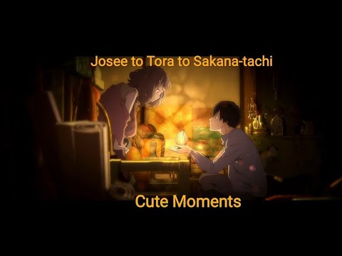 Josee, the Tiger and the Fish Cute Moments.