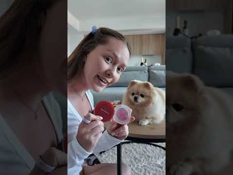 Моя собака делает мне макияж 💄 Больше бьюти-находок в ТГК: Никча о жизни #макияж #собака #милота