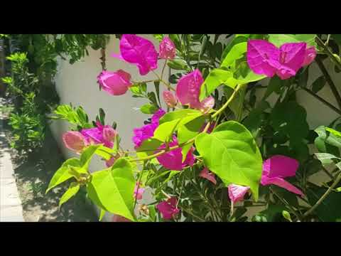 Front line beach urbanisation of La Noria III in Sabinillas