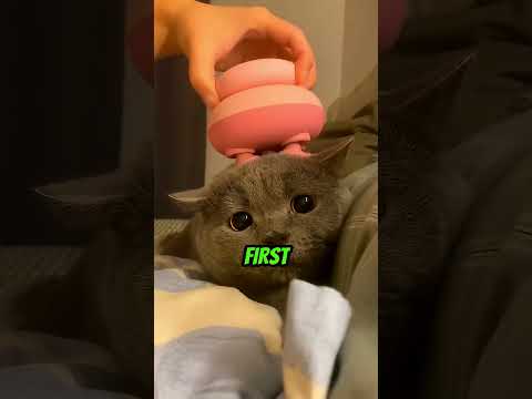 Kız arkadaşına asla gülme! 😅