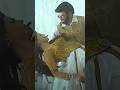 Back To Dabidi Dibidi Video Song Daaku Maharaaj NBK Urvashi Rautela Bobby Kolli Thaman S