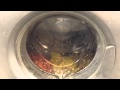 Hotpoint Aquarius WF541 Test Wash At BHF