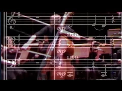 Double Bass Concerto in E minor