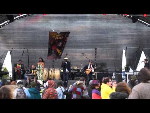 We Are The Playthings Of The Rich and Famous - Dub Colossus Soundsystem