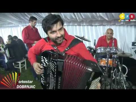 Prva harmonika sveta Srdjan DOBRNJAC -Svetski █▬█ █ ▀█▀ (Barajevo 2016)