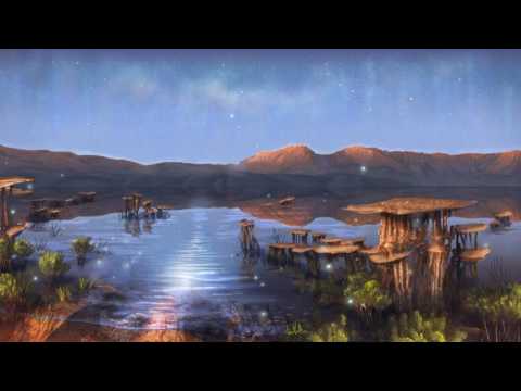 AuroraX - aLive @ Aymon Tribal Festival [2017]